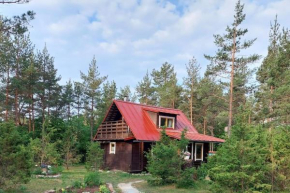 Sinilille suvemaja saunaga Upa
